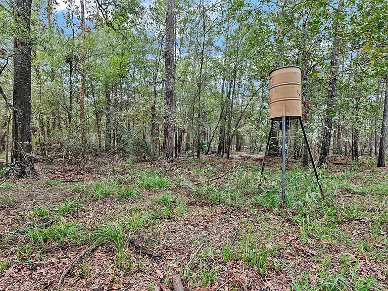 271 Shoreline Dr — Photo 22