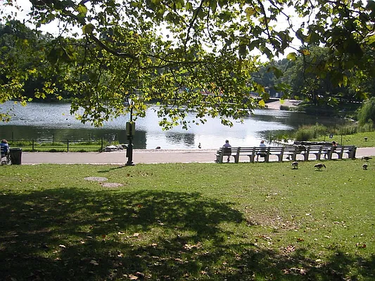 Rented by Central Park Holding Corp. | media 16