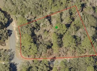 4000 N Ringwood Cir, Hernando, FL 34442