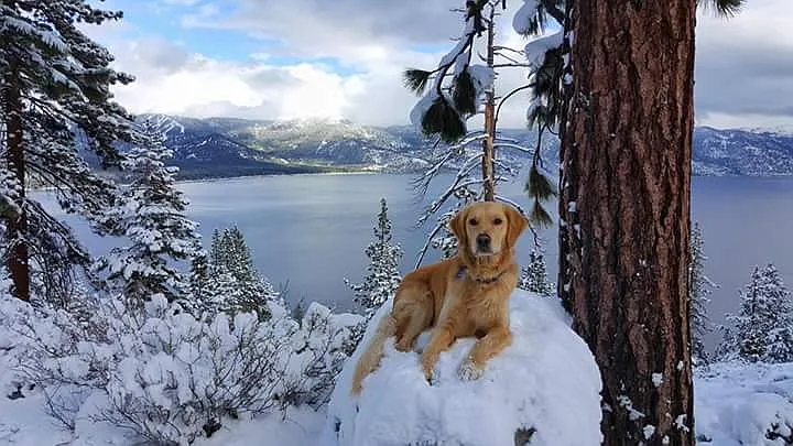 1047 War Bonnet Way Unit A photo 1