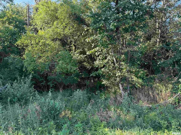 0 Lapis Dr, Clay City, IL 62824