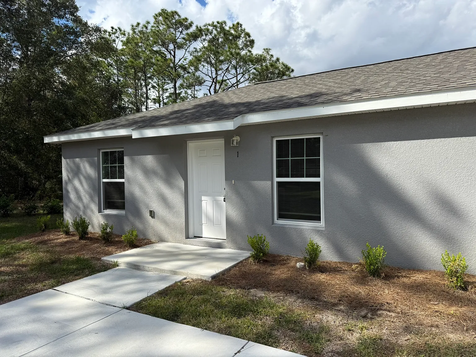3 bed, 1000 sqft, $1,350 — Photo 3