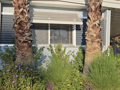 723 Scenic Vw, Palm Springs, CA, 92264