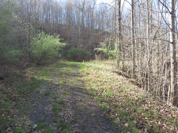 9999 Coon Creek Rd, Hyden, KY 41749