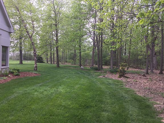 View from screen porch