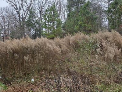 674 Axtell Ridgeway Rd Lot C6-48c, Norlina, NC, 27563