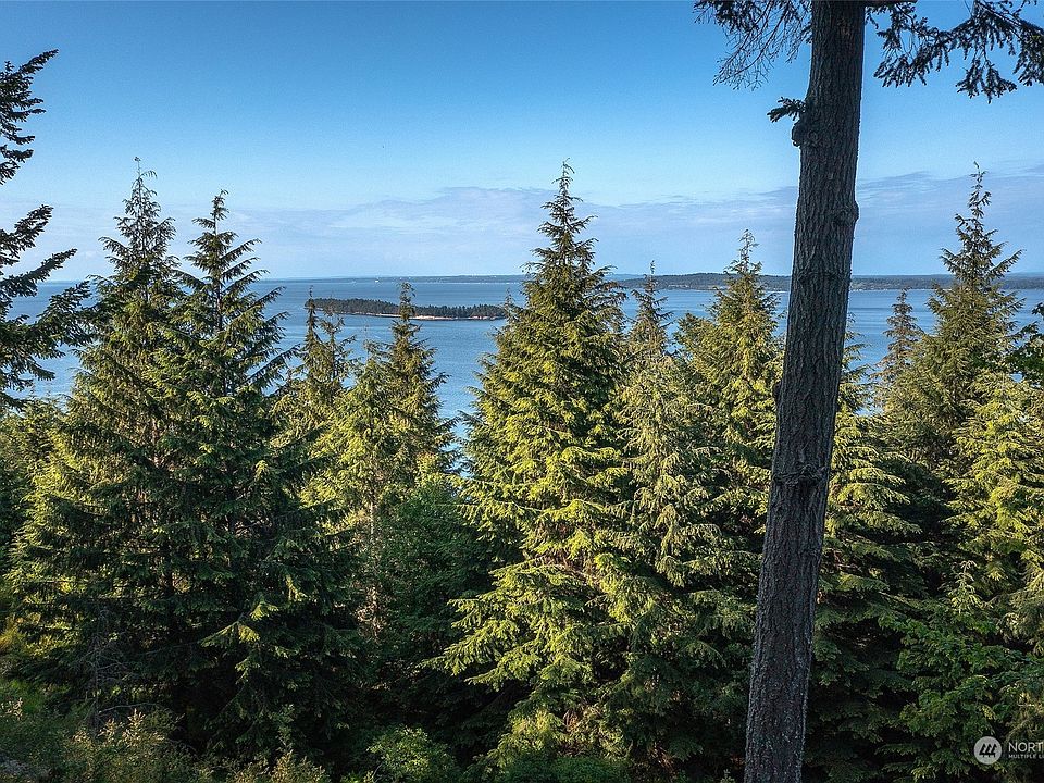 41 Raven Lane, Olga, WA 98279 MLS 2073826 Zillow