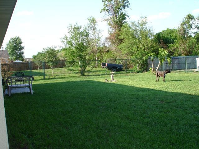 large backyard