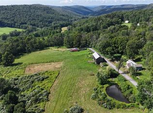 833 Biffar Rd, Long Eddy, NY 12760