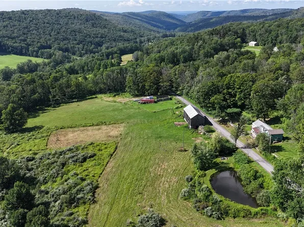833 Biffar Rd, Long Eddy, NY 12760