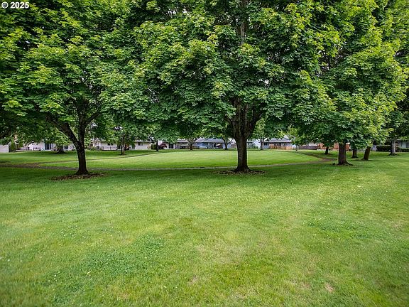Backyard View