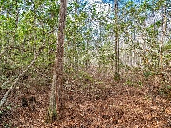 3rd image of 11535 Mattioda Rd