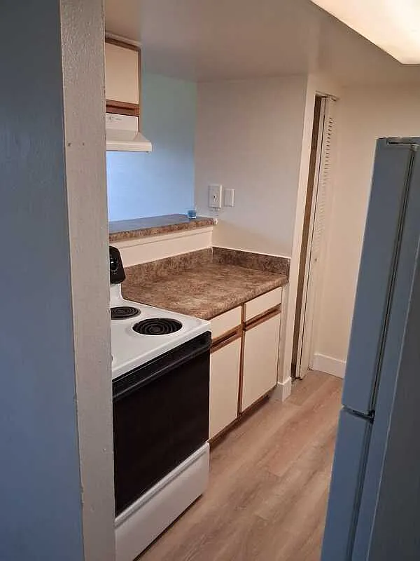 1 bed, 1.0 bath, 780 sqft, $1,000 — Photo 3