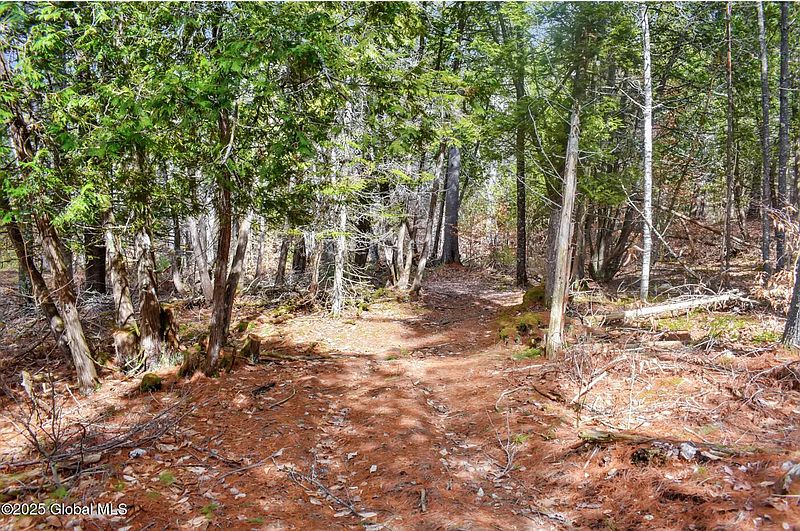 4th image of L11 Mountain Meadows Road
