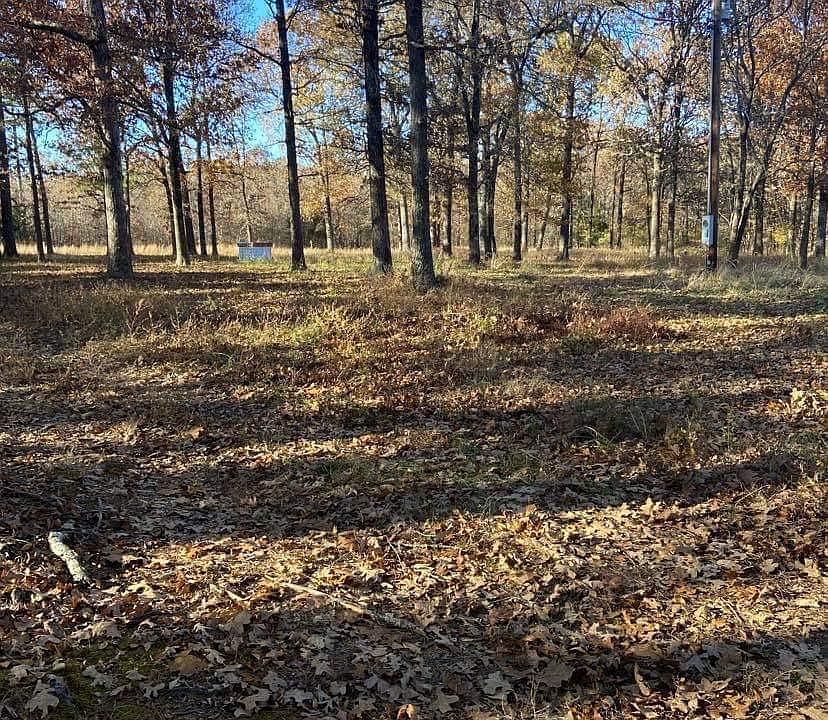 2nd image of 250 Goldfish Ln