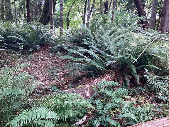 Use Caution when walking the property