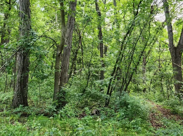 0 E Town Line Rd, Leaf River, IL 61047