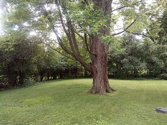 4th image of 1440 Carol Ln