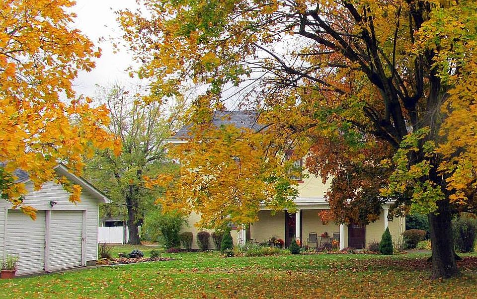 Back & Garage - October 2014
