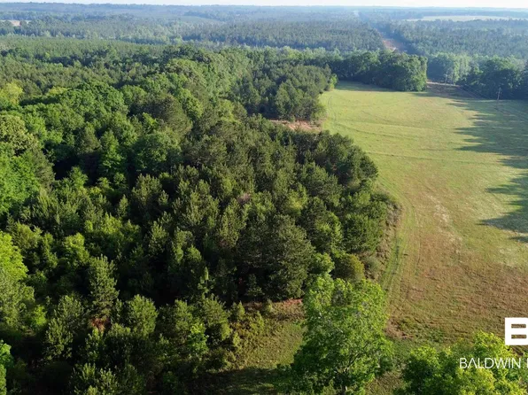 0 Joe Reeves Rd, Castleberry, AL 36432