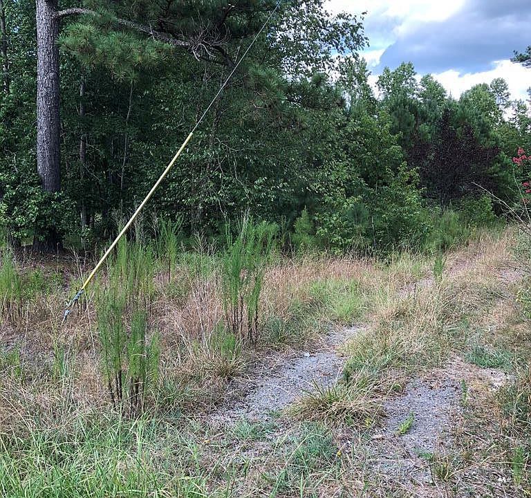 2nd image of 1 Bush Lane LOT 1
