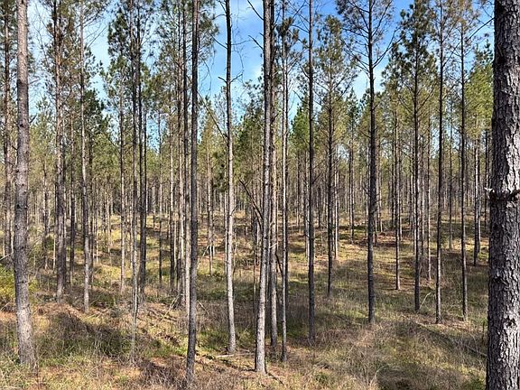 3rd image of 0 County Road 142