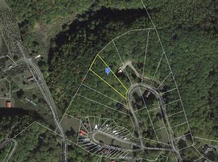 226 Black Bear Rdg, Roan Mountain, TN 37687