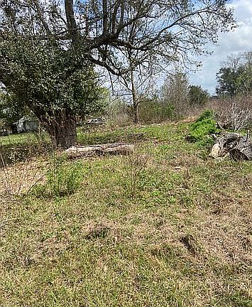 3rd image of 105 Murphy Dr