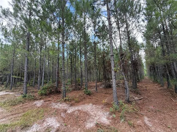 0 Corbitt Rd, Manor, GA 31550