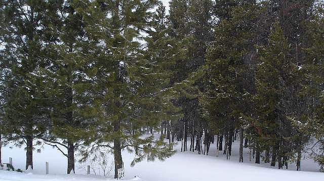 2nd image of 2 Hillhouse Subdivision