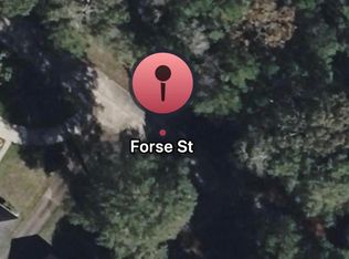 Forse Dr, Woodville, TX 75979