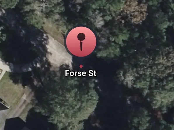 Forse Dr, Woodville, TX 75979