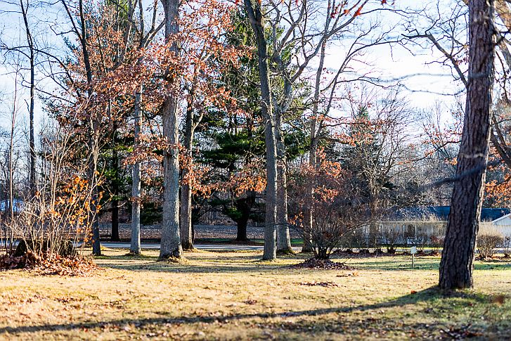 North edge looking south
