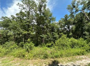 0 SE 44th Ct #1, Belleview, FL 34420