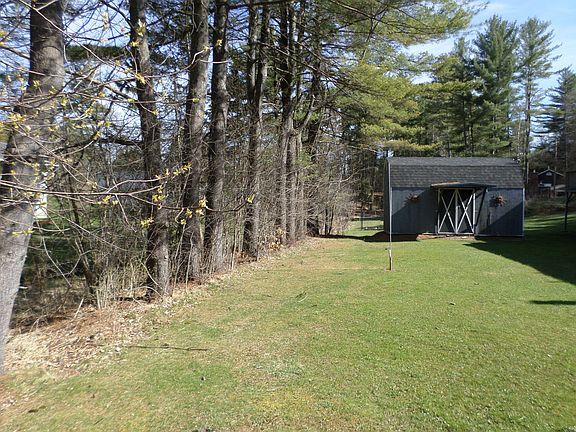 Backyard2 - Row of Trees
