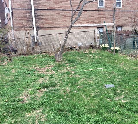 5th image of 159 59th St