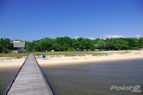 View of beach