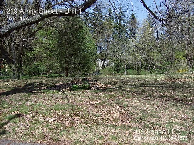 2nd image of 219 Amity St APT 1