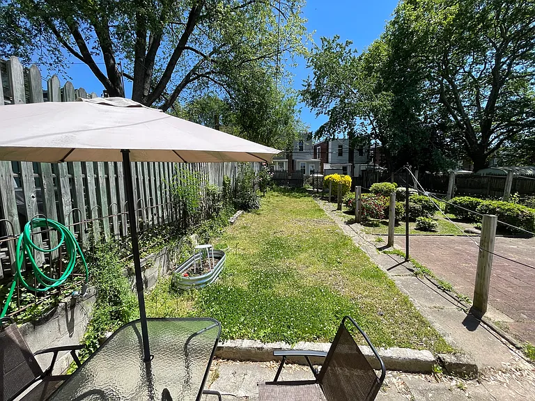 Back yard