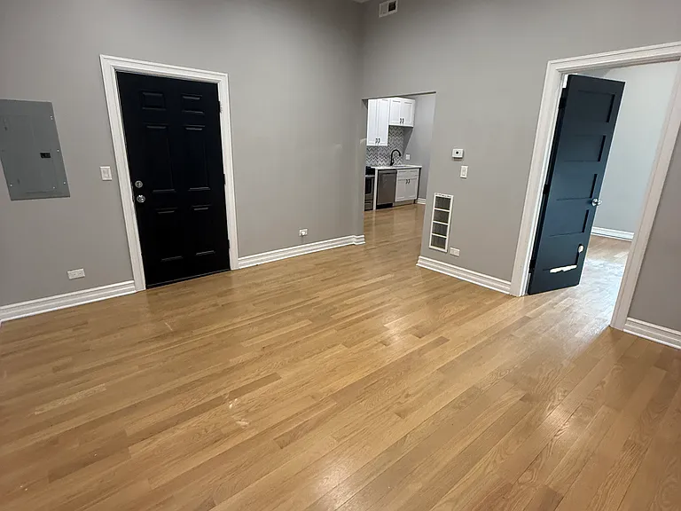 1856 S Blue Island Ave #2R — Photo 4