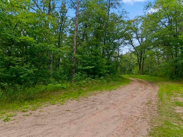 Wolf Lake - Baldwin MI Real Estate - 6 Homes For Sale | Zillow