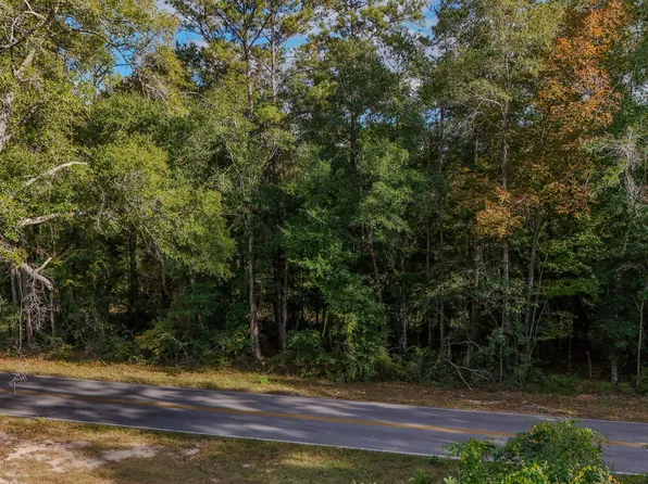 Pleasant Ridge Rd, Defuniak Springs, FL 32435