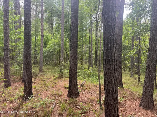 Bushtown Rd, Pinola, MS 39149