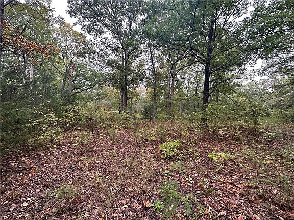 4th image of 618 Oak Valley Dr