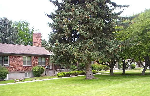College Park — Photo 2