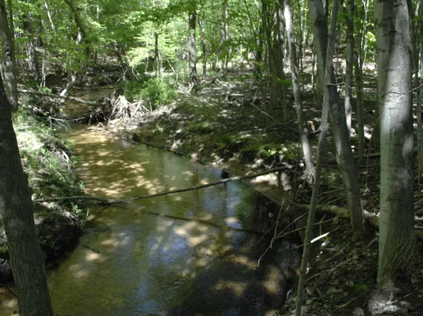 W Marshville Dam Rd, Shelby, MI 49455
