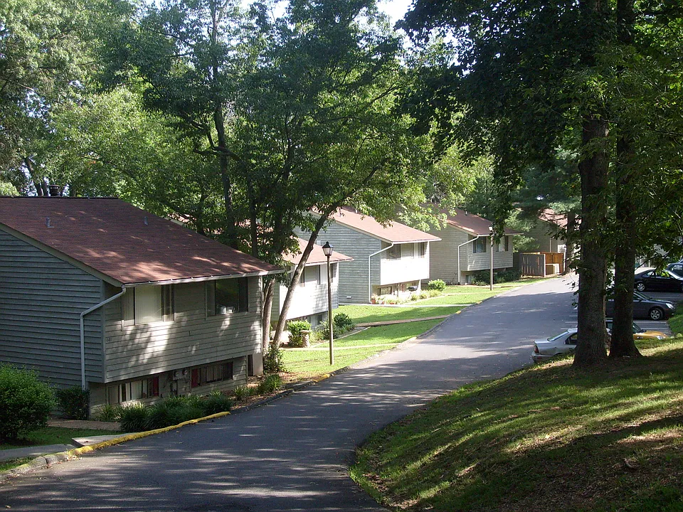The Woods