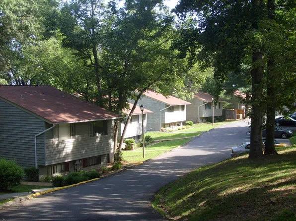 The Woods