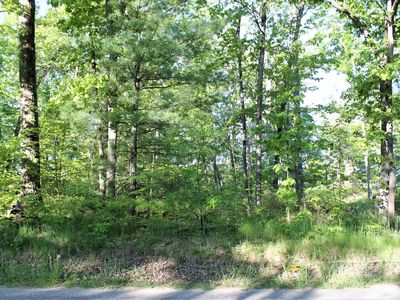 Vl S Delta Pl, Idlewild, MI, 49642