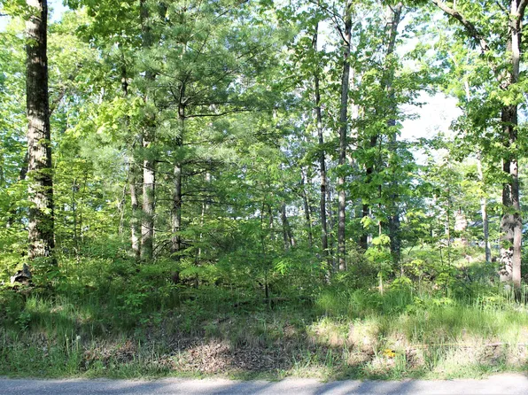 Vl S Delta Pl, Idlewild, MI 49642